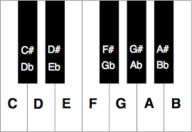 Pianotoetsen incl zwarte (1 oktaaf)